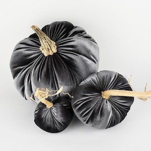 May include: Three gray velvet pumpkins with brown stems. The pumpkins are arranged in a cluster, with the largest pumpkin in the back and the smallest pumpkin in the front.