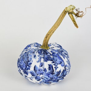 Chinoiserie Pumpkin with Real Stem image 3