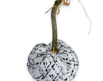 White with Black Accent Tweed Pumpkin with Real Stem