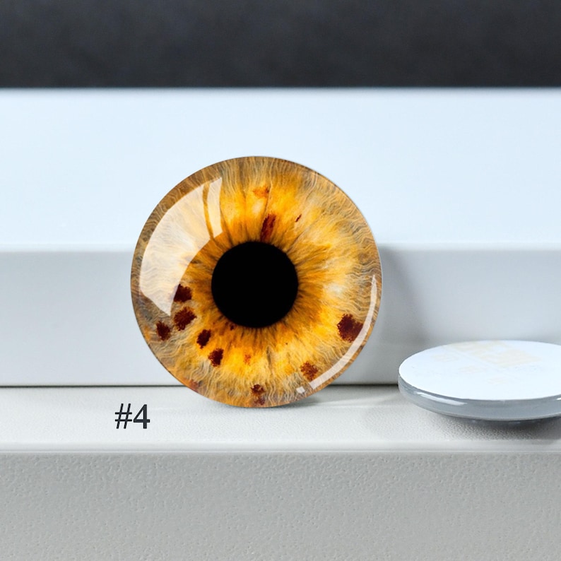 Eye Cabochon,Handmade Doll Cat Eyeball photo glass Cabochon, 10mm -40mm eye glass dome cameo - 14mm thin Blythe doll eyes - DN1898 #4