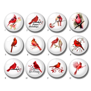 Cardinale Cabochon, cupola di vetro uccello rosso, 10mm 12mm 14mm 16mm 18mm 20mm 25mm 30mm 35mm 40mm fai da te immagine commemorativa immagine perline di vetro-DN594