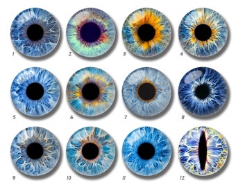 Eye Cabochon,Handmade Doll Cat Eyeball photo glass Cabochon, 10mm 12mm 14mm 16mm 18mm 20mm 25mm 30mm 35mm 40mm glass dome cameo - DN1897