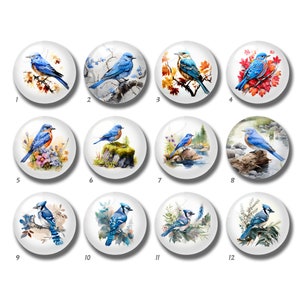 10 peças cabochão azul de 10mm 12mm, cúpula de vidro de papagaio, 14mm 16mm 18mm 20mm 25mm 30mm 35mm 40mm faça você mesmo imagem de vidro Beads-DN2770