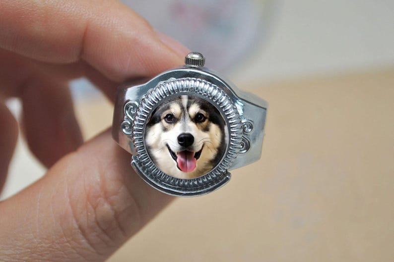 May include: Silver-toned ring featuring a smiling dog portrait. The ring has an ornate, circular setting around the dog's face, with a small knob on top. The dog has black, white, and brown fur, with its tongue sticking out.