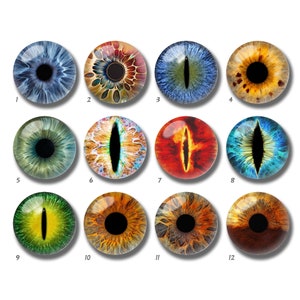 Cabochon in vetro con foto di un bulbo oculare di bambola di gatto fatto a mano, 10 mm, 12 mm, 14 mm, 16 mm, 18 mm, 20 mm, 25 mm, 30 mm, 35 mm, 40 mm, cammeo in vetro a cupola - DN1898