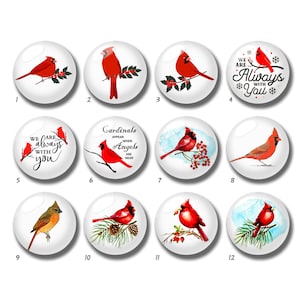 10 peças cabochão de cardeais de 10mm 12mm, cúpula de vidro de pássaro vermelho, 14mm 16mm 18mm 20mm 25mm 30mm 35mm 40mm imagem memorial imagem de vidro Beads-DN1675