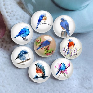 Cabochon Bluebird, dôme en verre Blue Birds, 10pcs 10mm 12mm 14mm 16mm 18mm 20mm 25mm 30mm 35mm 40mm DIY Photo Image Perles De Verre-DN592