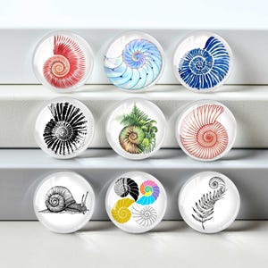 May include: Nine round glass magnets with various designs. The designs include spiral shells in red, blue, and black, a fern, a snail, and a collection of colorful spirals. The magnets are displayed on a white surface.