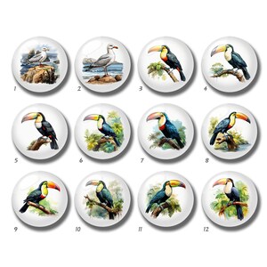 10 peças cabochão tucano de 10mm 12mm, cúpula de vidro de pássaro, 14mm 16mm 18mm 20mm 25mm 30mm 35mm 40mm faça você mesmo imagem de tucano contas de vidro-DN2793
