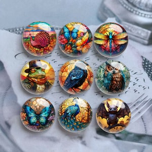 May include: Nine round glass cabochons with stained glass designs featuring a variety of animals and insects. The designs include a peacock, a bat, a frog, a raven, an owl, a dragonfly, a butterfly, a turkey, and another butterfly.