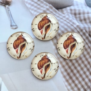 Cabochon Conque/Bouton-pression, 10 mm 12 mm 14 mm 16 mm 18 mm 20 mm 25 mm 30 mm 35 mm 40 mm Escargot de mer Dôme en verre/Photo Gingembre Bouton-pression -R227808
