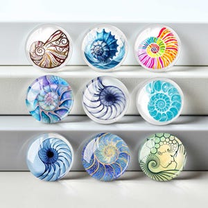 Può includere: Nove magneti rotondi in vetro con disegni di conchiglie. I magneti presentano vari colori e motivi, tra cui blu, viola, giallo e verde. I disegni mostrano motivi a spirale e conchiglia di nautilus.