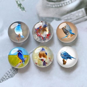 10 peças cabochão de pássaro azul de 10mm 12mm, cúpula de vidro de pássaro artesanal, 14mm 16mm 18mm 20mm 25mm 30mm 35mm 40mm imagem faça você mesmo contas de vidro-DN593