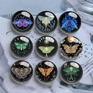 10 Stück 10 mm 12 mm Schmetterling Cabochon, Motte Glaskuppel, 14 mm 16 mm 18 mm 20 mm 25 mm 30 mm 35 mm 40 mm DIY Insekt Bild Bild Glas Cameo-DN3053