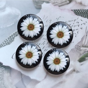 Blanc Daisy Flower Cabochon / verre Snap Button, 10mm 12mm 14mm 16mm 18mm 20mm 25mm 30mm 35mm 40mm Dôme en verre / Bouton Encliquetable au gingembre -R2262032