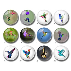 10 peças cabochão de beija-flor de 10mm 12mm, cúpula de vidro de pássaros azuis, 14mm 16mm 18mm 20mm 25mm 30mm 35mm 40mm Morning Glory Imagem Imagem Beads-DN598
