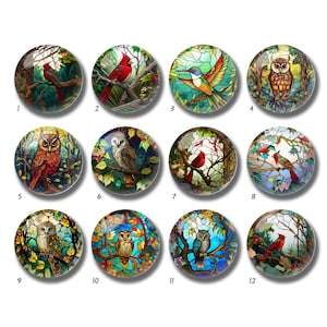 Cabochão de imagem de vitral cardeal, cúpula de vidro de coruja, 10mm 12mm 14mm 16mm 18mm 20mm 25mm 30mm 35mm 40mm Contas de vidro com imagem de pássaro-DN2086