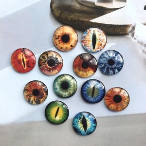 Eye Cabochon,Handmade Doll Cat Eyeball photo glass Cabochon, 10mm -40mm eye glass dome cameo - 14mm thin Blythe doll eyes - DN1898 image 3