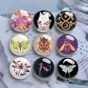 10pcs 10mm 12mm Insects Cabochon, Moth Glass Dome, 14mm 16mm 18mm 20mm 25mm 30mm 35mm 40mm Dragonfly Picture Image Glass Cameo-DN3059