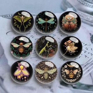 10 Stück 10 mm 12 mm Motte Cabochon, Insekten Glaskuppel, 14 mm 16 mm 18 mm 20 mm 25 mm 30 mm 35 mm 40 mm Libelle Bild Glas Cameo-DN3055