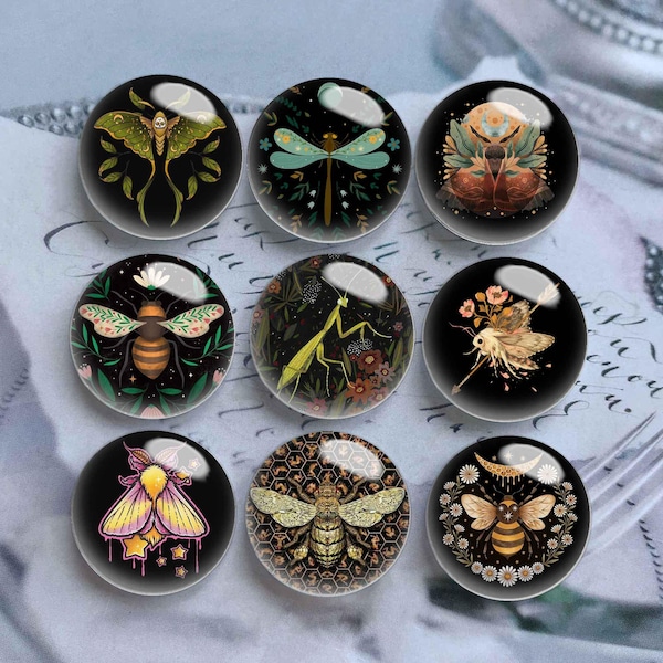 10pcs 10mm 12mm Moth Cabochon, Insects Glass Dome, 14mm 16mm 18mm 20mm 25mm 30mm 35mm 40mm Dragonfly Picture Image Glass Cameo-DN3055