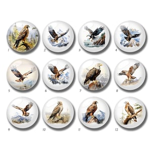 10 peças cabochão de falcão de 10mm 12mm, cúpula de vidro de falcão, 14mm 16mm 18mm 20mm 25mm 30mm 35mm 40mm faça você mesmo imagem de pássaro imagem de vidro Beads-DN2788