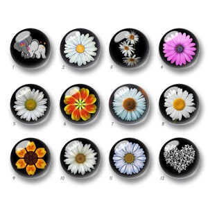 Puede incluir: Doce cabujones redondos de vidrio con varias imágenes, incluyendo una margarita, un girasol, un corazón con calaveras y un par de elefantes. Los cabujones están colocados sobre un fondo blanco.