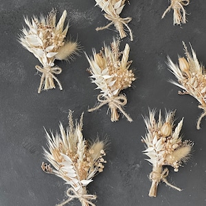May include: Six small bouquets of dried flowers in shades of cream and beige. The bouquets are tied with twine and feature various dried grasses and flowers.