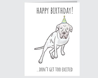 Cane Corso Birthday Card, Grey Sarcastic Italian Mastiff Cartoon Dog Blank Greeting card for B-day