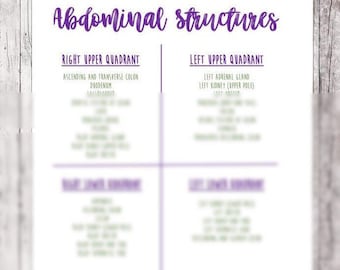 Abdominal Structures Reference Sheet // Abdominal Quadrants // Nursing School Notes