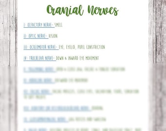 12 Cranial Nerves Nursing Reference Sheet  // Nursing School Notes