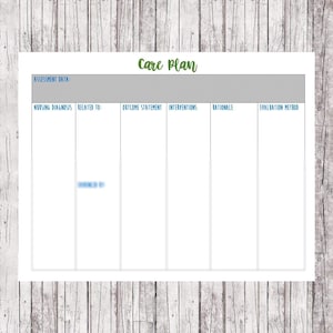 Care Plan Template Nursing // Care Plan Worksheet // Nursing School Notes