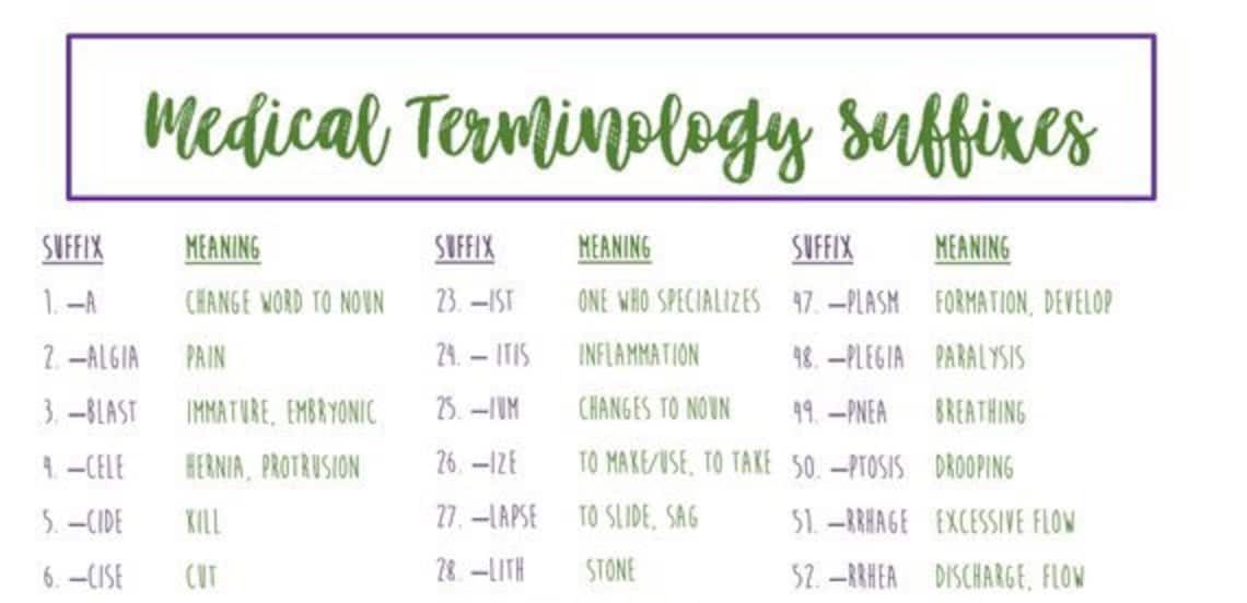 Medical Terminology Suffixes // Nursing School Medical Etsy Canada