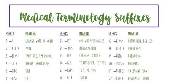 Medical Terminology The Basics Laminate Reference Chart