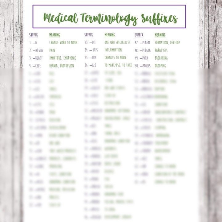 Medical Terminology Suffixes // Nursing School Medical - Etsy Medical Terminology Suffixes // Nursing School Medical - Etsy