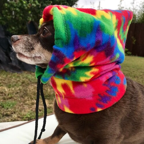 Dog Winter Hat Hat for Pet Personalized Dog Hat Dog Etsy