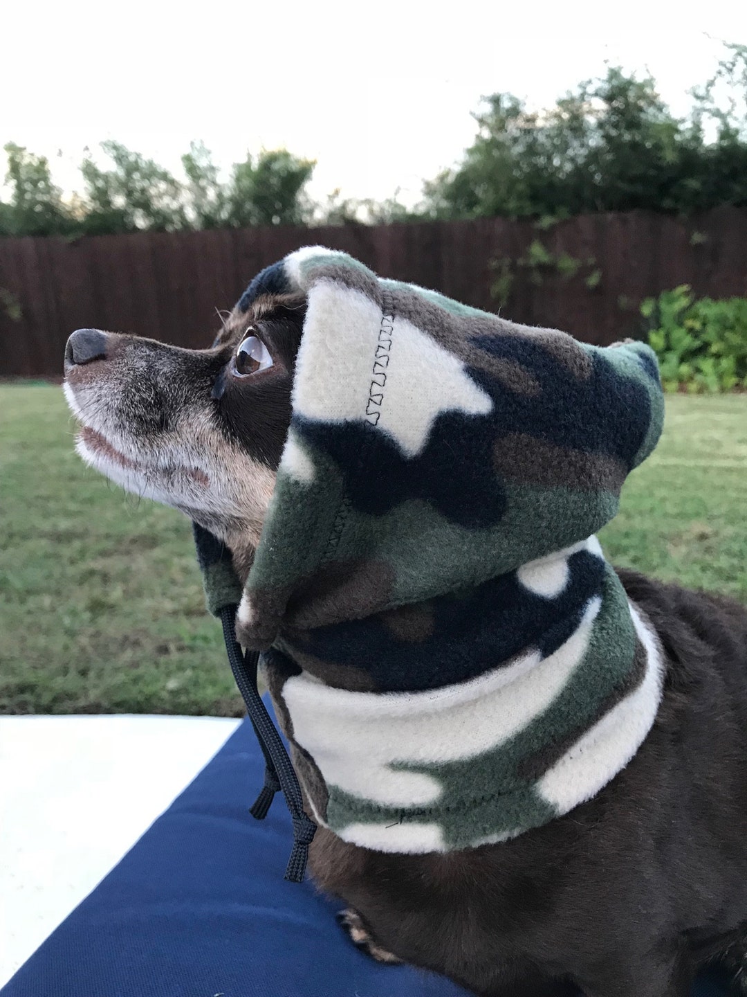 Dog Hat Dog Hoodie Hats for Small Dogs Etsy