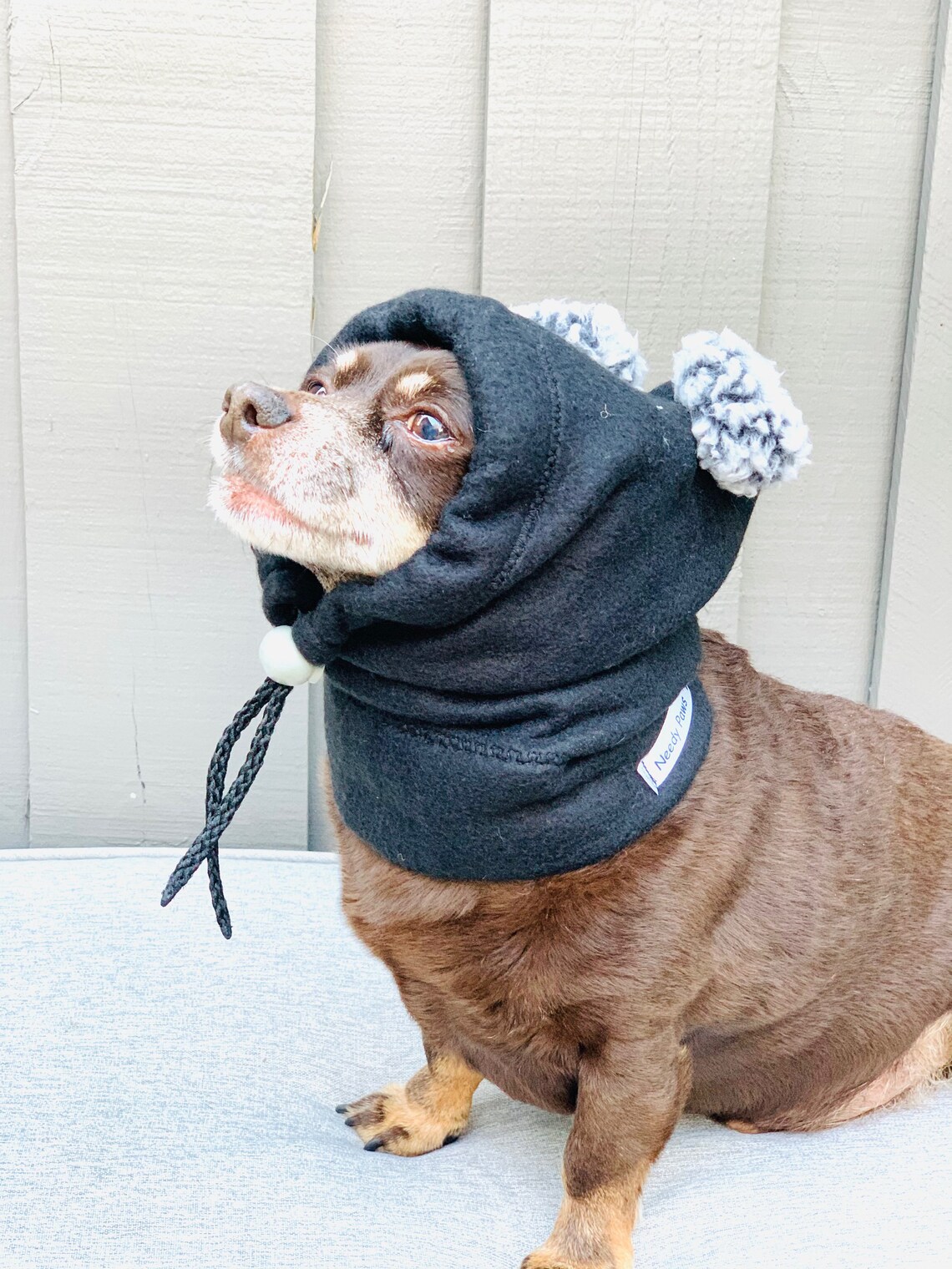 Dog Winter Hat Warm Dog Hat Cute Dog Hat Etsy