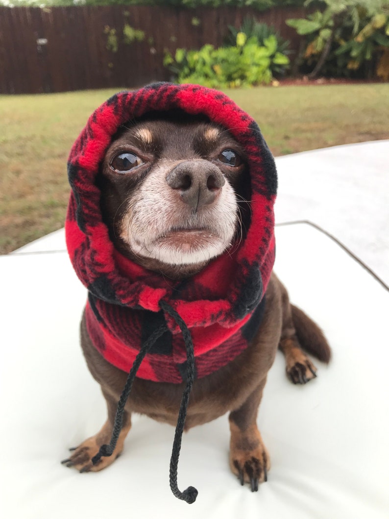 Dog Christmas hat Hat for pet Dog hat Personalized Etsy