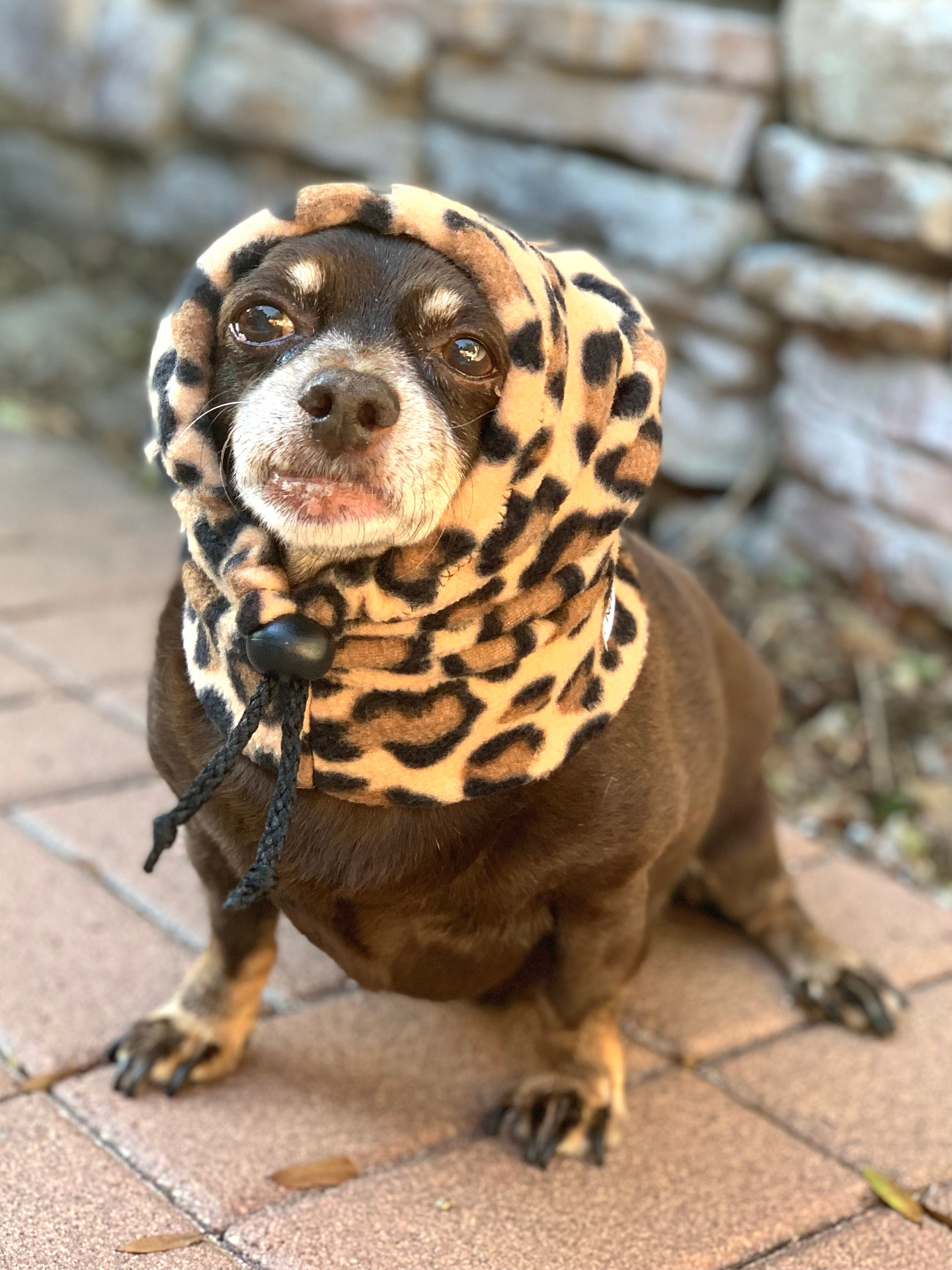 Dog Winter Hat Hat for Dog Animal Print Dog Hat warm Etsy
