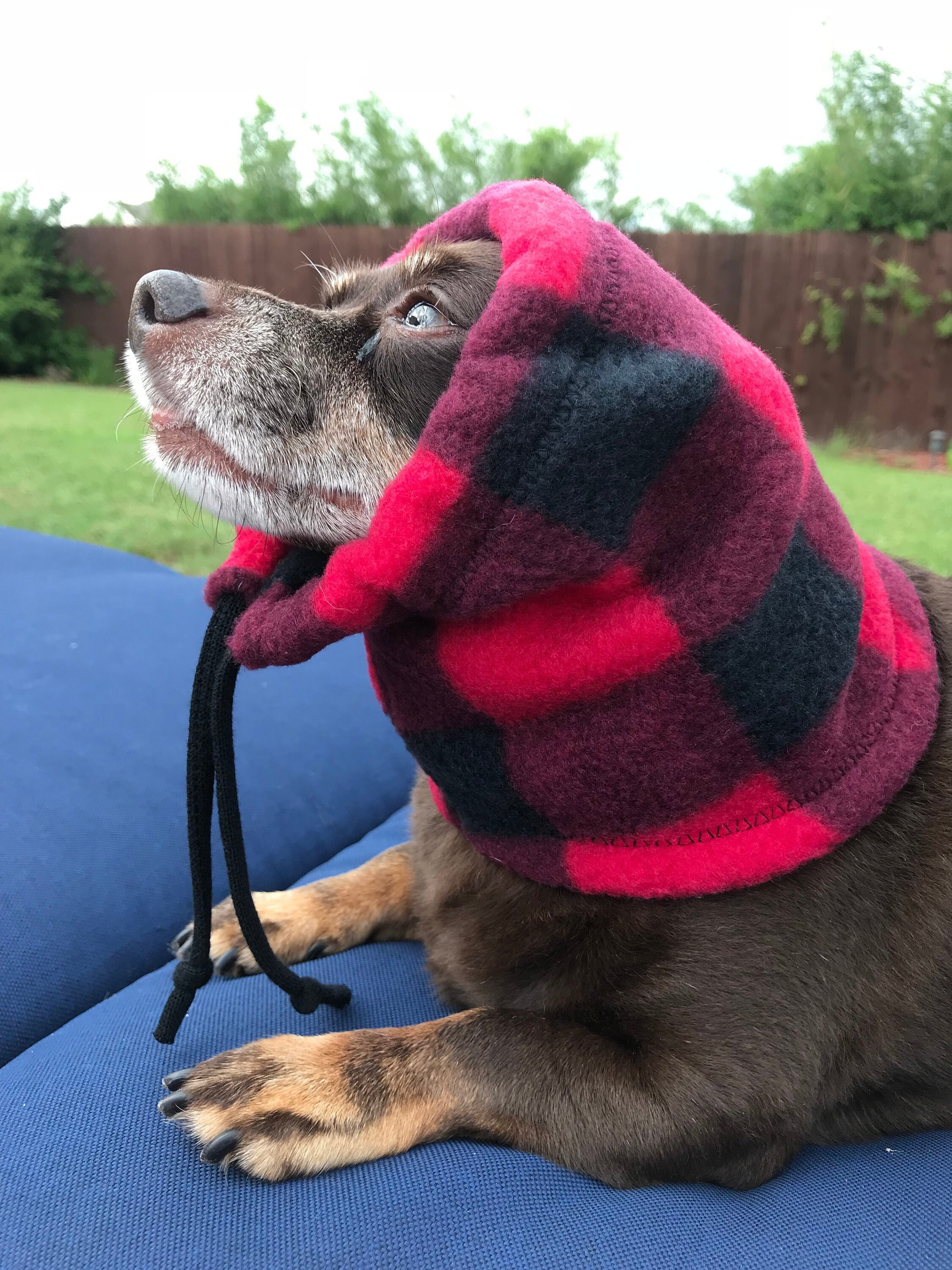 Dog Scarf Dog Neck Warmer Scarf for Dogs Dog Winter Etsy