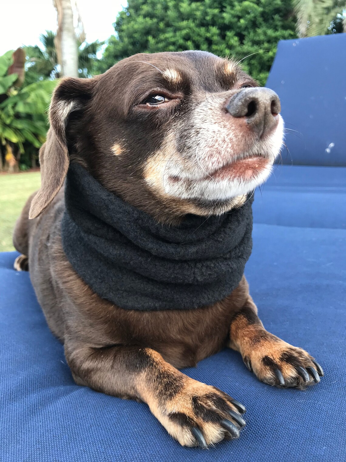 Bufanda Infinita (snood) Con Estampado De Camuflaje Militar - Tamaño 90x180 Cm, Suave Y Ligera