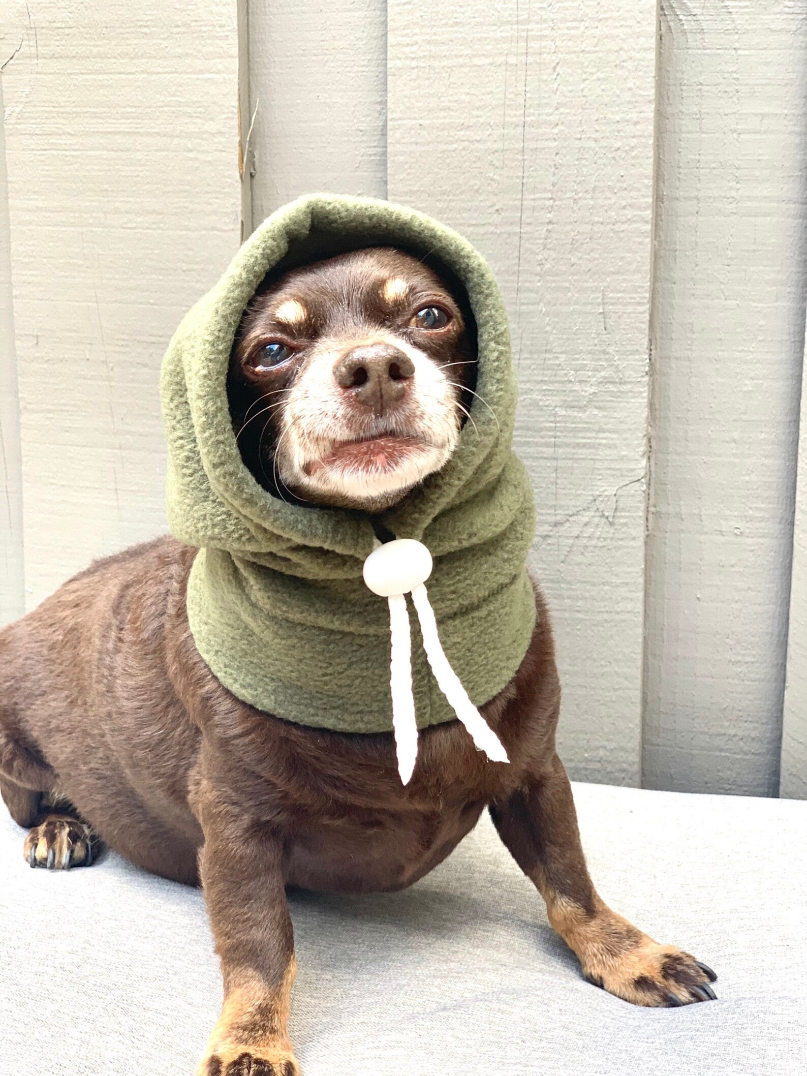 Dog Winter Hat Hat for Dogs Dog Hat Personalized Dog Etsy