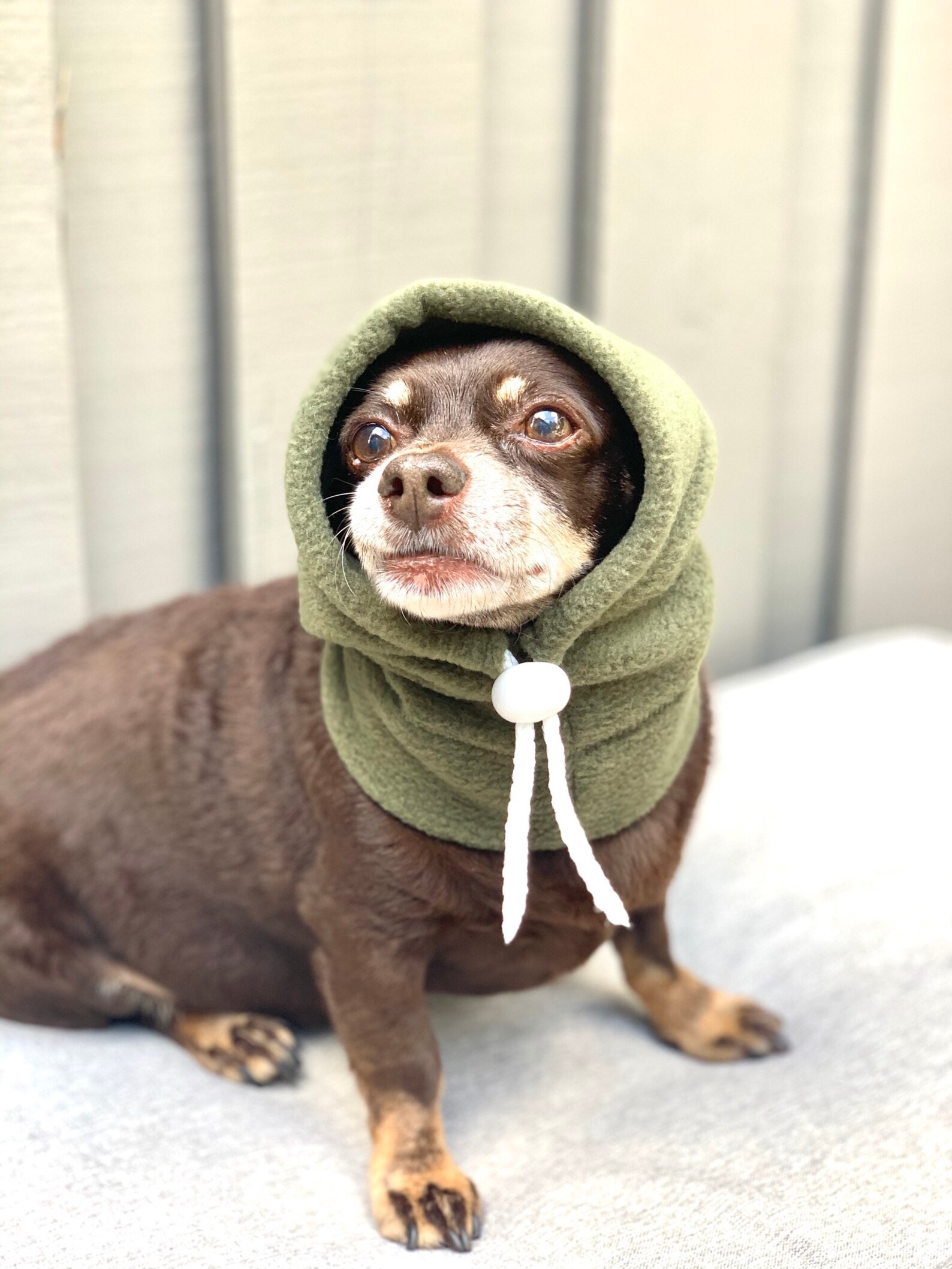 Dog Winter Hat Hat for Dogs Dog Hat Personalized Dog Etsy