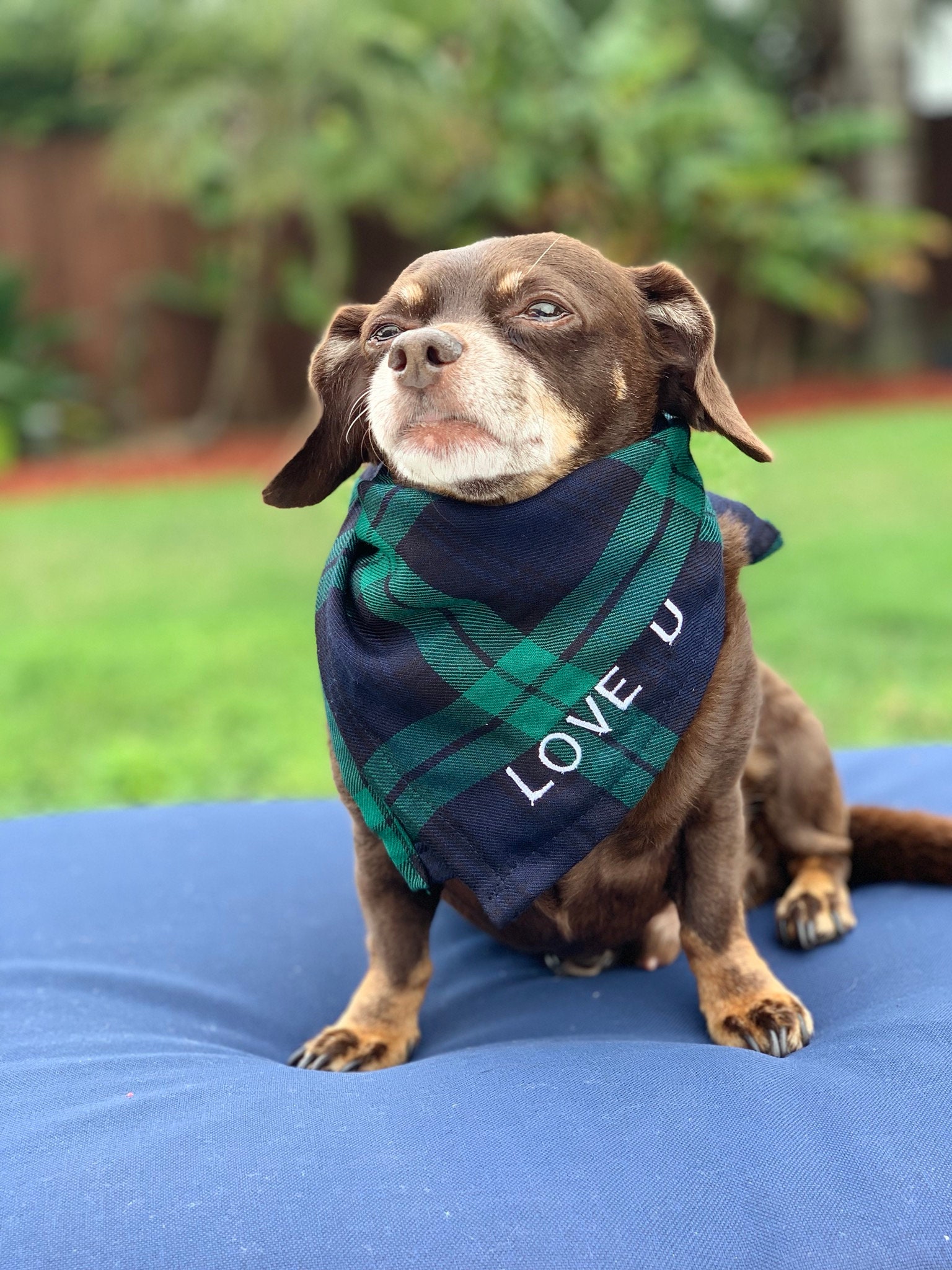 Dog Bandana Personalized Dog Bandana Dog Tartan Bandana Etsy