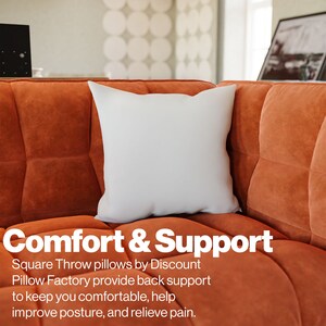 Square Throw Pillow inserts for Accent pillows to spruce up your DIY Interior projects