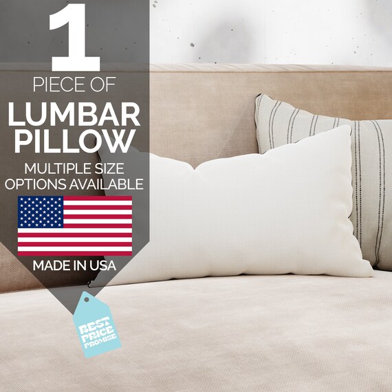16x16 Throw Pillows Insert Firm and Super Plush Pillow Stuffing