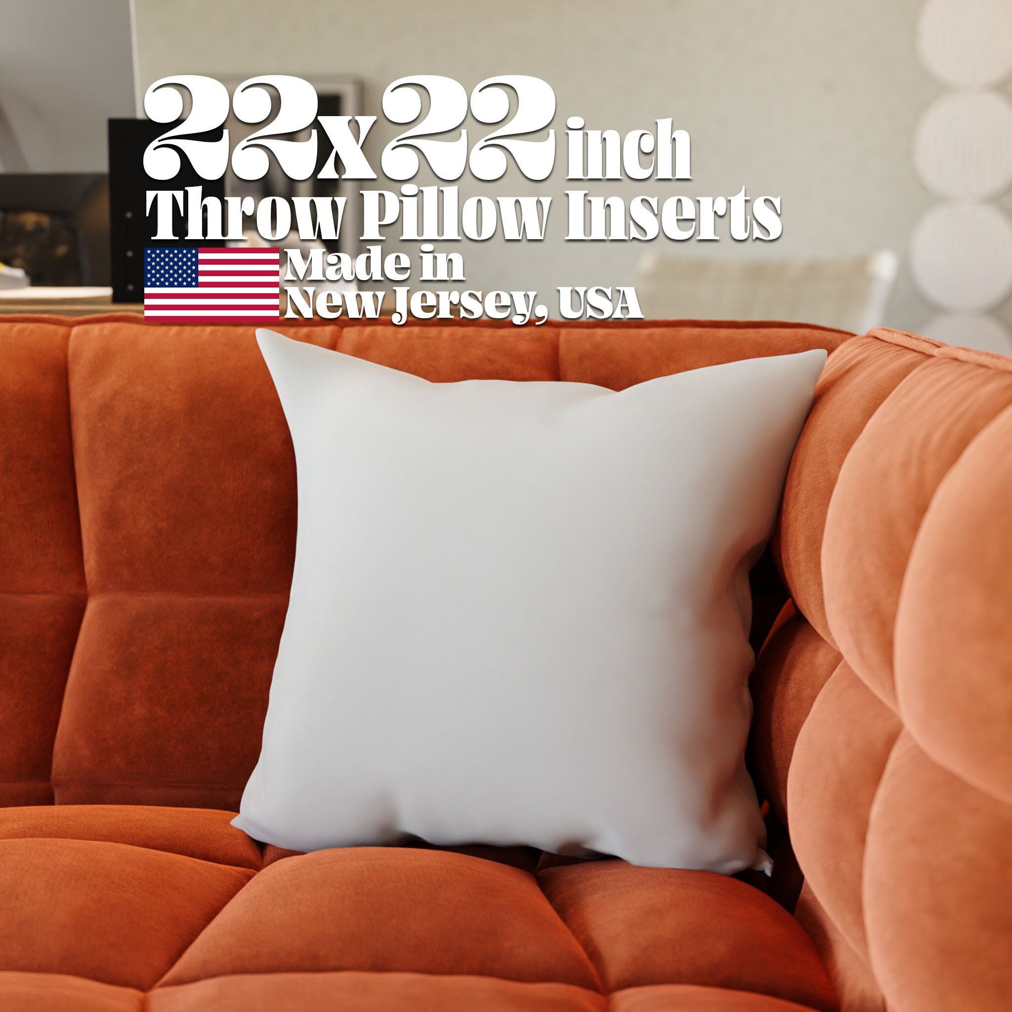 22 by 22 Cushion Cover