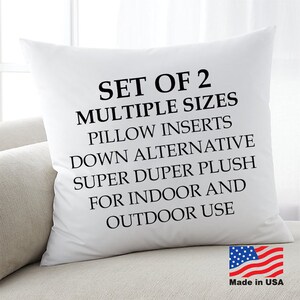 european pillow forms