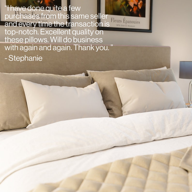 Highly rated 20x36 Pillow inserts for bedroom